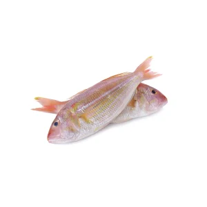 Ikan Kerisi