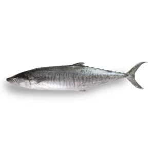 Tenggiri