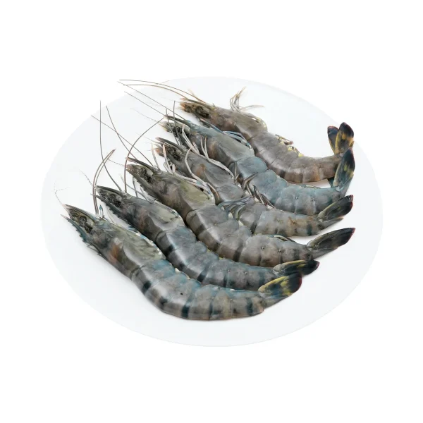 Udang Harimau