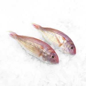 Ikan Kerisi