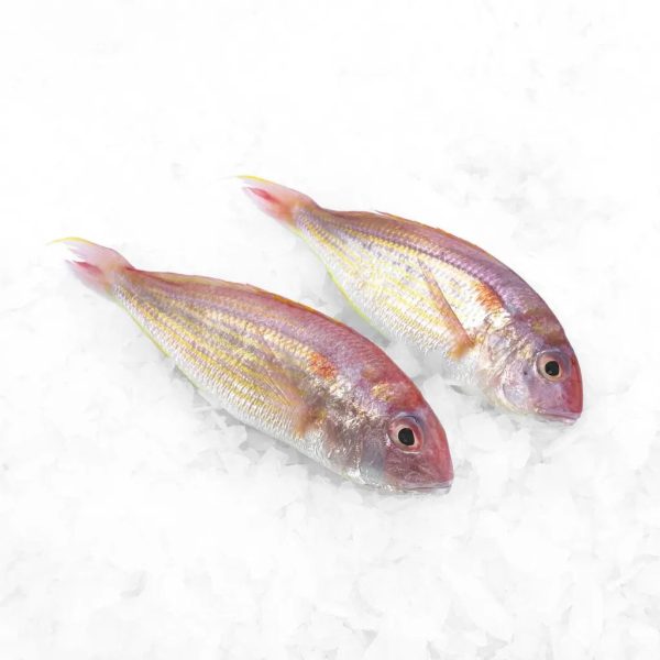Ikan Kerisi